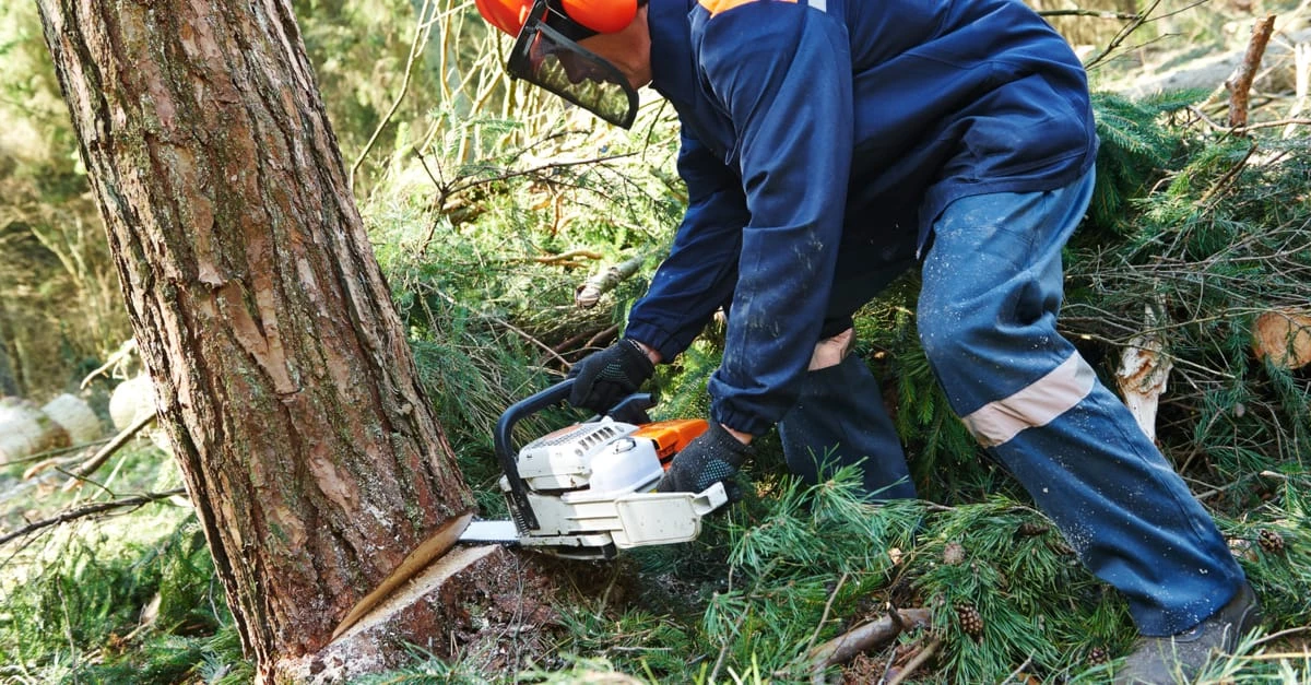 Outil de découpe Soldes 2 Outil de découpe Soldes -Outil de découpe Soldes 1