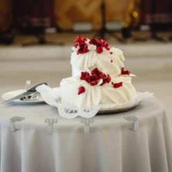 Pince à Nappe En Acier Inoxydable Pince à Nappe 8 Pièces Irisfr（argent） -Outil de découpe Soldes 42998986 3